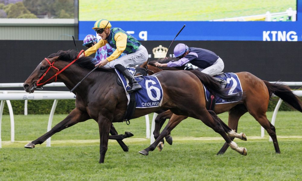 只有主動發 只有主動發