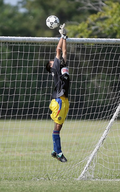 侯辛洛夫不 侯辛洛夫不